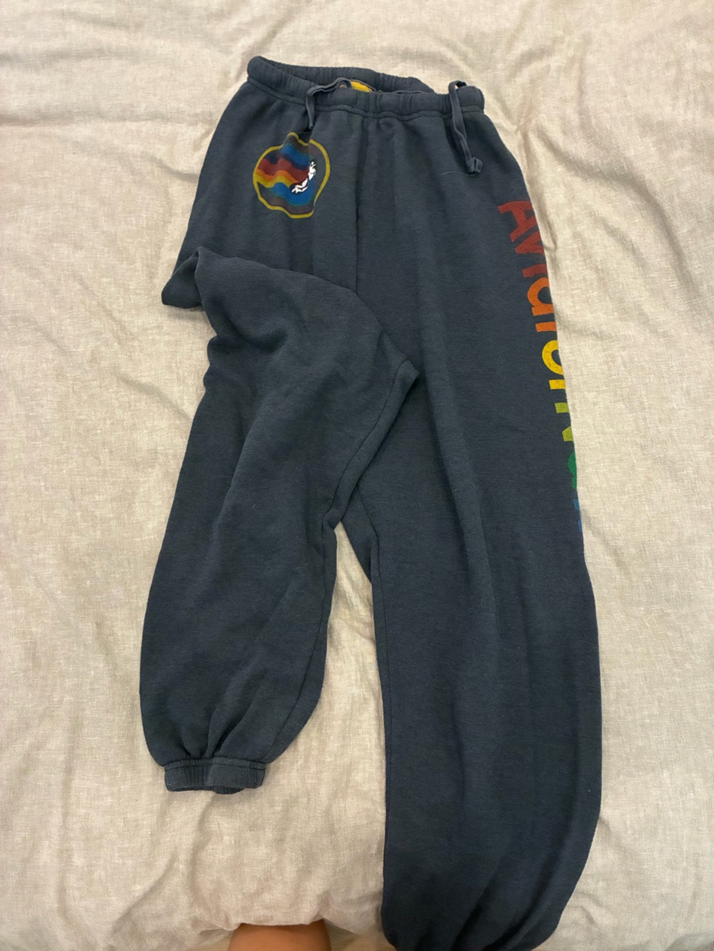 Aviator Nation Navy Blue woman’s Sweatpants with Multicolor Logo